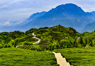 中國礦業(yè)聯(lián)合會發(fā)布2024中國礦業(yè)十大新聞