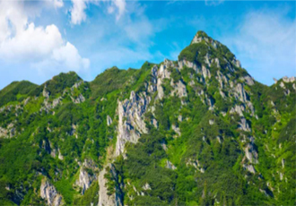 國內(nèi)有色金屬行業(yè)生產(chǎn)平穩(wěn)